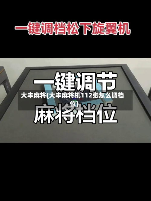 大丰麻将(大丰麻将机112张怎么调档位)