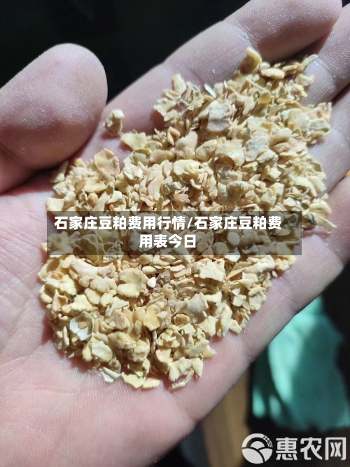 石家庄豆粕费用行情/石家庄豆粕费用表今日