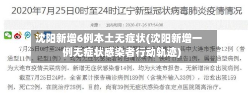 沈阳新增6例本土无症状(沈阳新增一例无症状感染者行动轨迹)