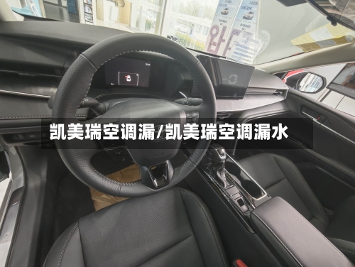 凯美瑞空调漏/凯美瑞空调漏水