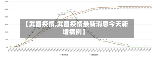 【武昌疫情,武昌疫情最新消息今天新增病例】