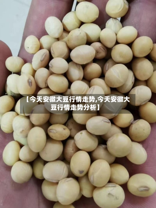 【今天安徽大豆行情走势,今天安徽大豆行情走势分析】