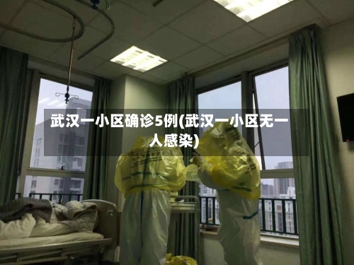 武汉一小区确诊5例(武汉一小区无一人感染)