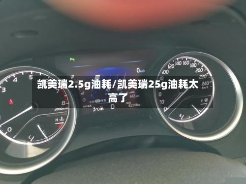 凯美瑞2.5g油耗/凯美瑞25g油耗太高了