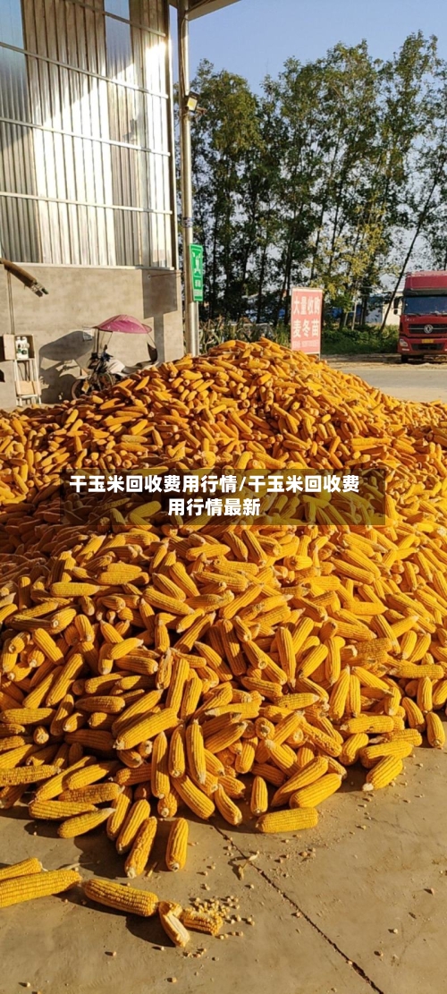 干玉米回收费用行情/干玉米回收费用行情最新