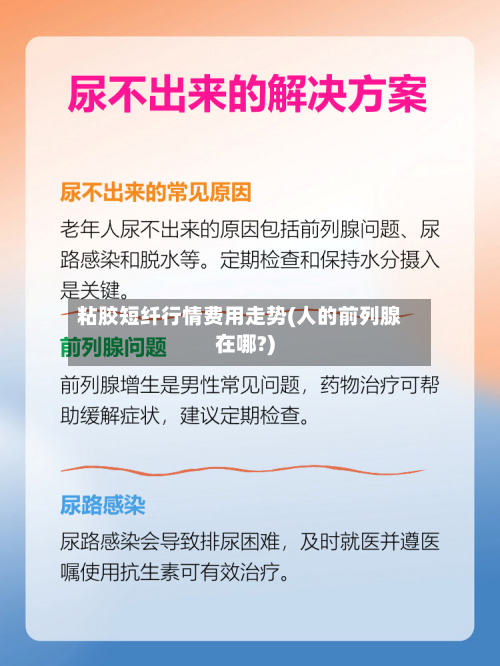 粘胶短纤行情费用走势(人的前列腺在哪?)