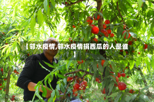 【邻水疫情,邻水疫情捐西瓜的人是谁】
